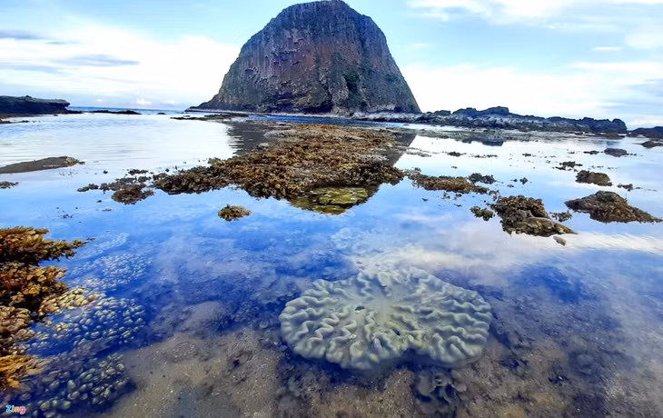 San ho ruc ro Phu Yen anh 7