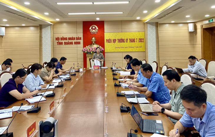 Đồng chí Vi Ngọc Bích, Ủy viên BTV Tỉnh ủy, Phó Chủ tịch Thường trực HĐND tỉnh phát biểu kết luận tại phiên họp.