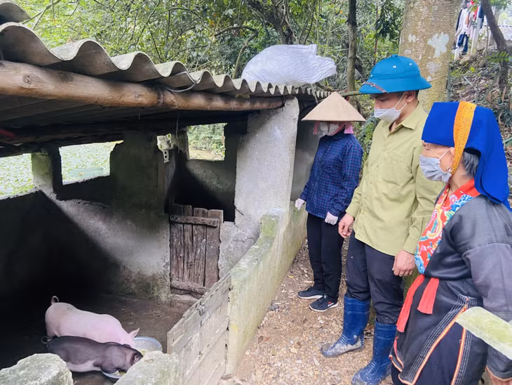 Lãnh đạo UBND xã Hòa Bình trao tặng 2 con lợn giống cho gia đình bà Triệu Thị Ba (thôn Thác Cát) với tổng kinh phí 4,5 triệu đồng từ nguồn xã hội hóa.