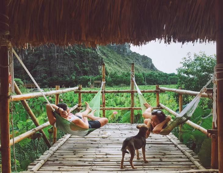 Các homestay ngắm mùa sen ở Ninh Bình ảnh 9