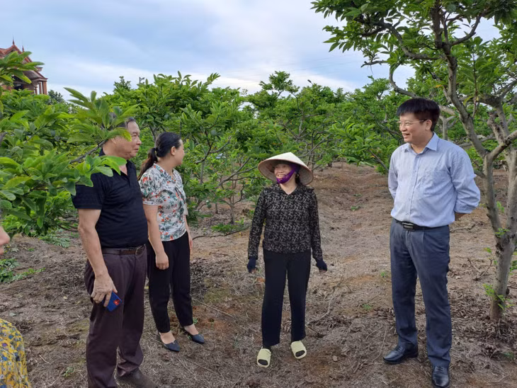 Lãnh đạo Hội Nông dân tỉnh (ngoài cùng, bên trái) trao đổi với hội viên nông dân TX Đông Triều về mô hình trồng na.