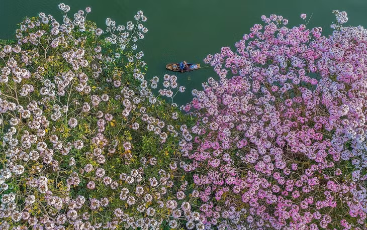 Bay cao ngắm vẻ đẹp Việt Nam ảnh 6