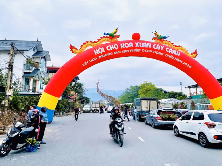 Hội chợ hoa xuân cây cảnh được TX Đông Triều tổ chức tại phường Mạo Khê từ ngày 25/1 đến ngày 9/2, với nhiều loại hoa, cây cảnh phục vụ nhu cầu mua sắm, tham quan của người dân và du khách.