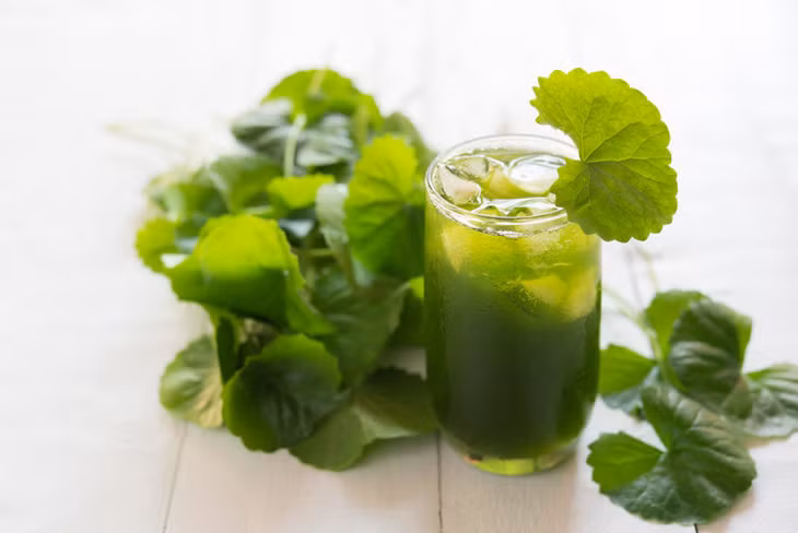 6 loại thức uống giúp giảm nhiệt miệng ảnh 4