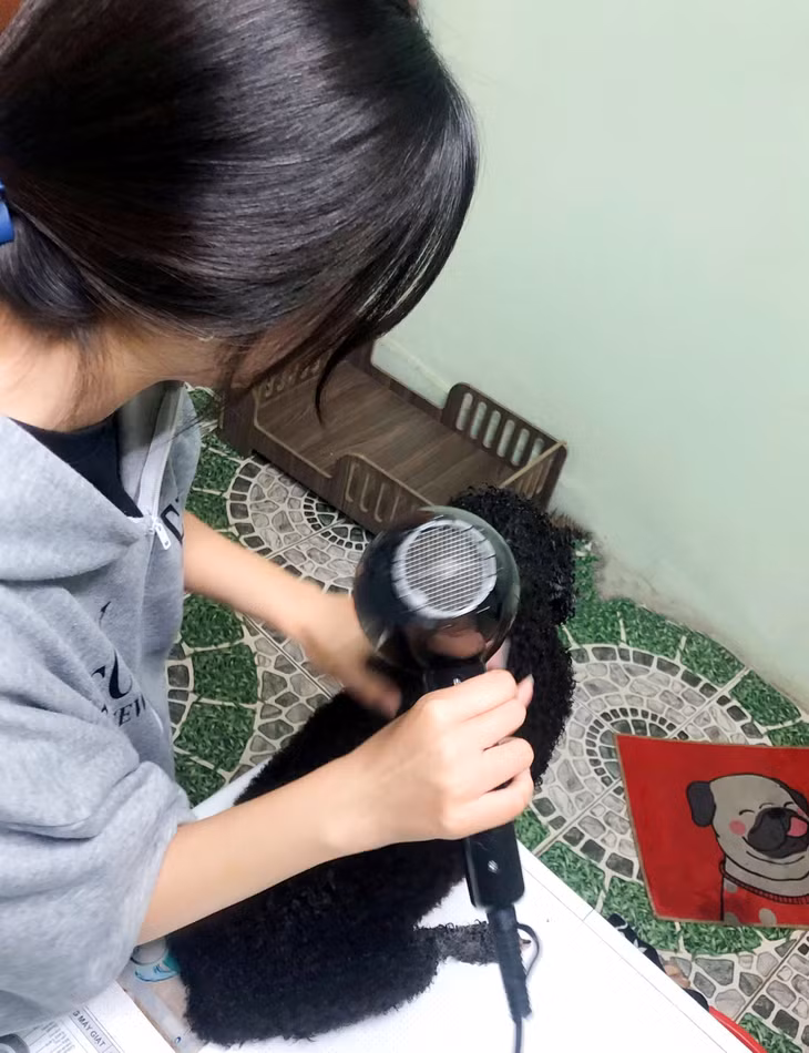 fa