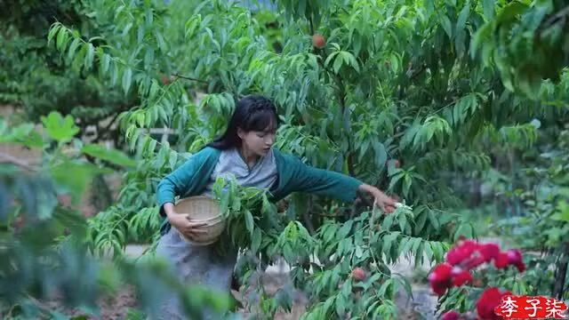 Lý Tử Thất làm món ăn từ khoai tây. Video: Weibo/Li Ziqi