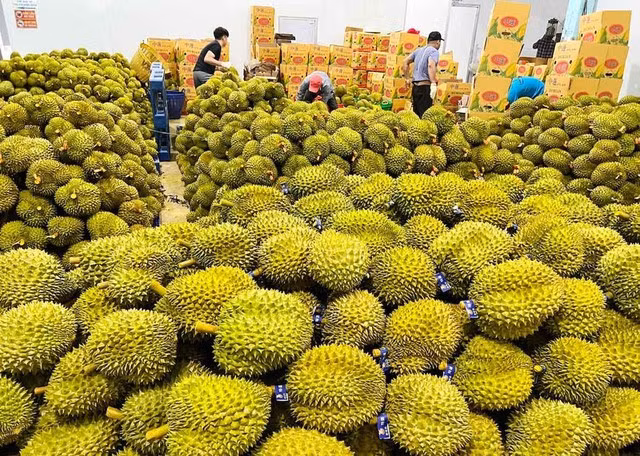 Rộng cửa” cho trái cây Việt Nam sang thị trường Trung Quốc - Ảnh 1.