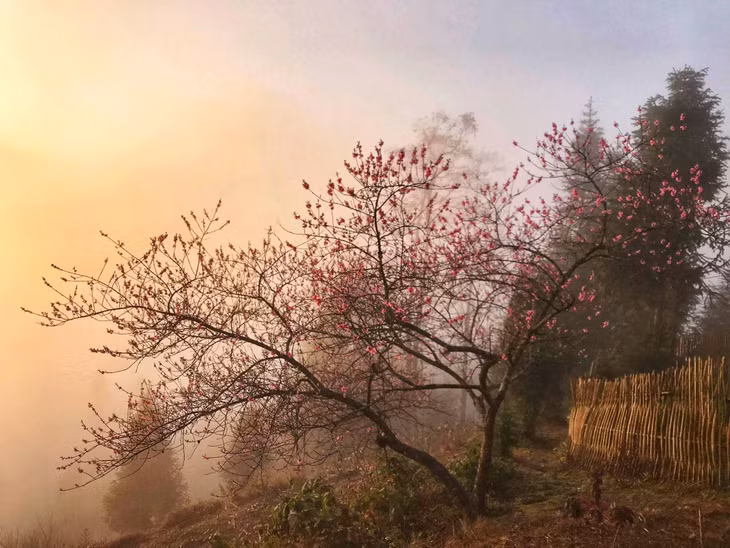 Giữa khung cảnh kỳ vĩ vùng cao nguyên đá, Cao Mã Pờ hiện lên với nét đẹp lãng mạn, nguyên sơ và rất đỗi yên bình. Ảnh: Hà Giang Trẻ