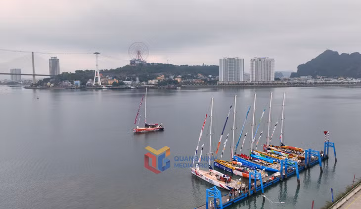 Những chiếc thuyền buồm tham gia Cuộc đua thuyền buồm vòng quanh thế giới Clipper Race lướt trên sóng biển Hạ Long và cập Cảng tàu khách quốc tế Hạ Long.