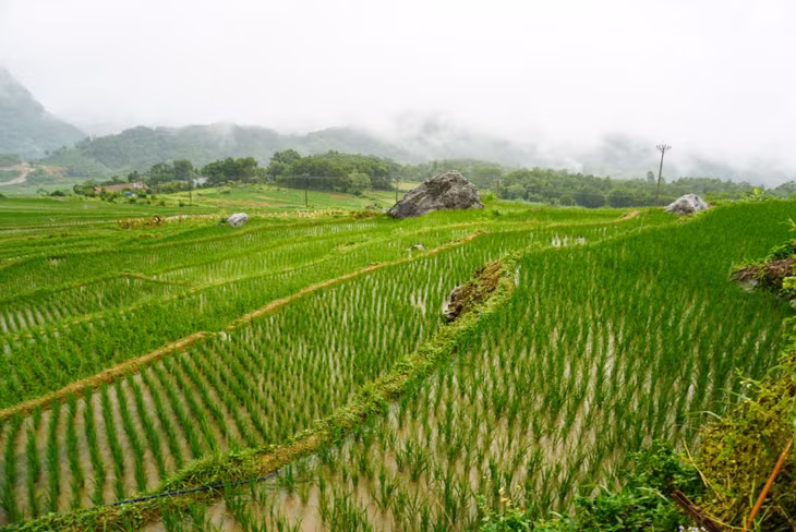 Du khách có thể đi dạo quanh những thửa ruộng bậc thang, hít thở không khí trong lành. Ảnh: HP