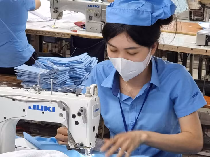 Lao động trong lĩnh vực dệt may. Ảnh: XC