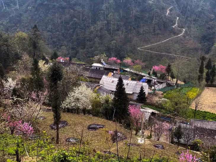 Cao Mã Pờ là xã biên giới của huyện Quản Bạ, tỉnh Hà Giang, cách trung tâm huyện khoảng 28km. Ảnh: Hà Giang Trẻ