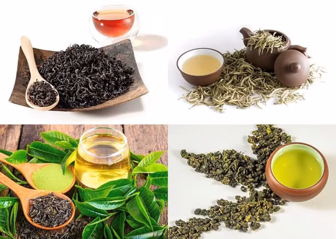 Một số loại trà có thể giúp bạn giảm cân sau ngày Tết. Đồ họa: Hương Giang