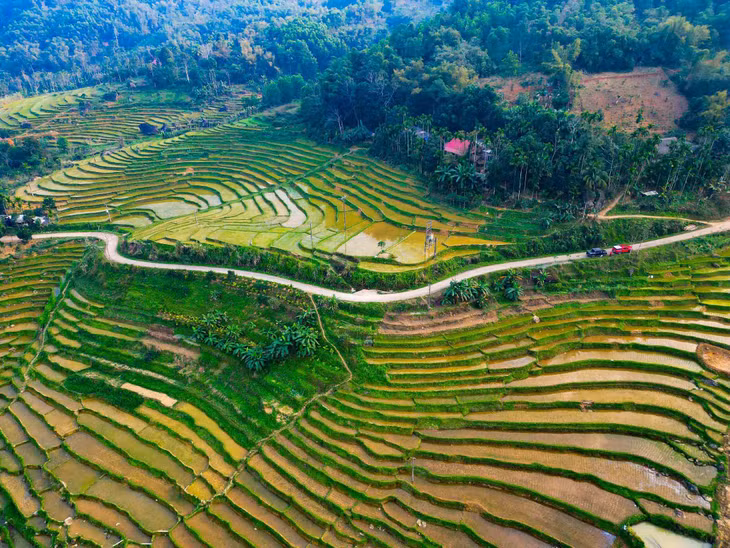 Theo đó, vào khoảng tháng 5-6 lúa sẽ chín, đây cũng là thời điểm nhiều du khách đến đây ngắm “mùa vàng”. Ảnh: Luân Lavender
