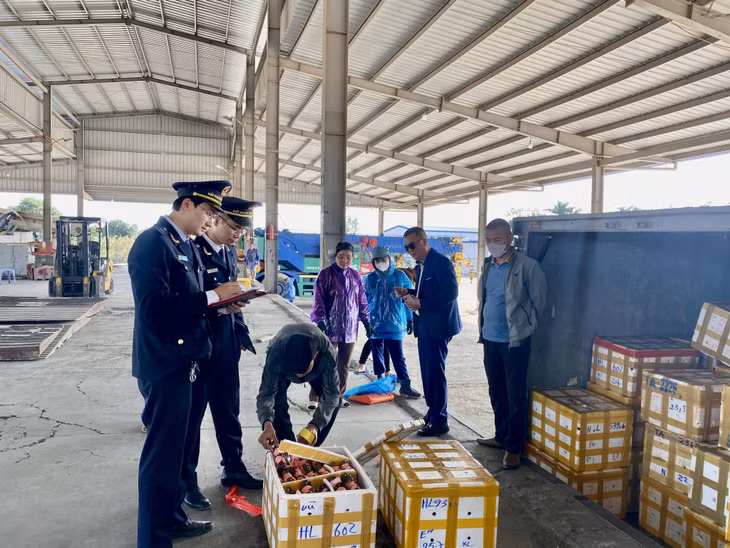 Lực lượng Hải quan kiểm tra hàng hóa nhập khẩu tại bãi kiểm hóa Cửa khẩu cầu Bắc Luân II.