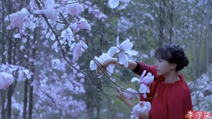 Tử Thất là người sáng tạo nội dung tiếng Hoa có lượng fan theo dõi nhiều nhất trên YouTube. Ảnh:Weibo/Li Ziqi