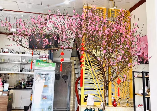 Hoa đào nở bung trước Tết. (Ảnh: Linh Nguyễn).