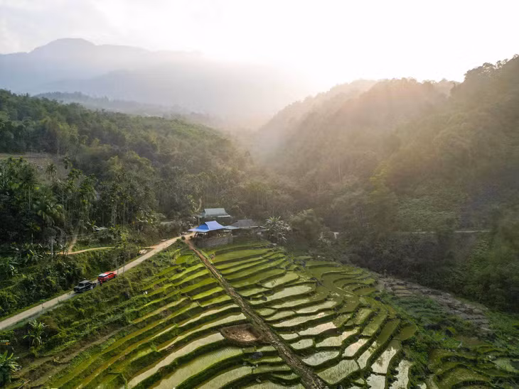 Vào những ngày cuối tháng 2, các ruộng bậc thang ở Pù Luông đang phủ màu xanh mướt. Ảnh: Luân Lavender