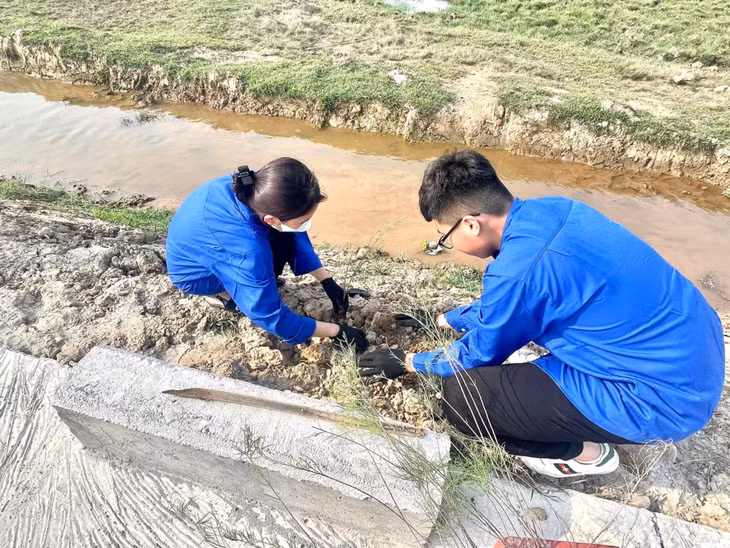 Đoàn viên thanh niên trồng cây tại tuyến đường do thanh niên quản lý tại xã Hải Đông (TP Móng Cái).