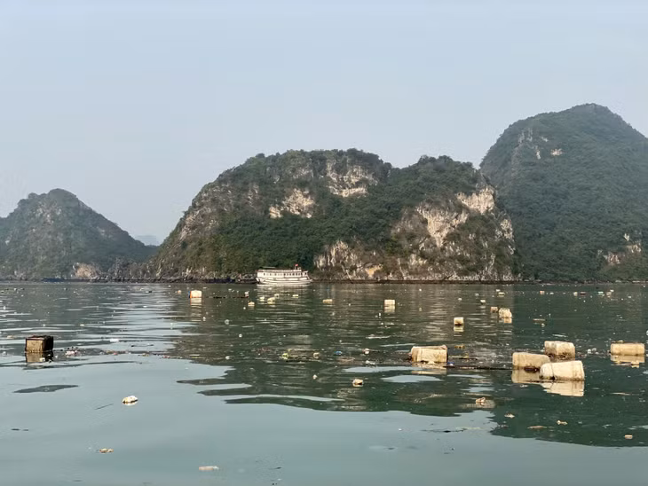 Hiện trên mặt biển Vịnh Hạ Long vẫn còn rất nhiều vật liệu NTTS trôi nổi như bè mảng hỏng, phao xốp.