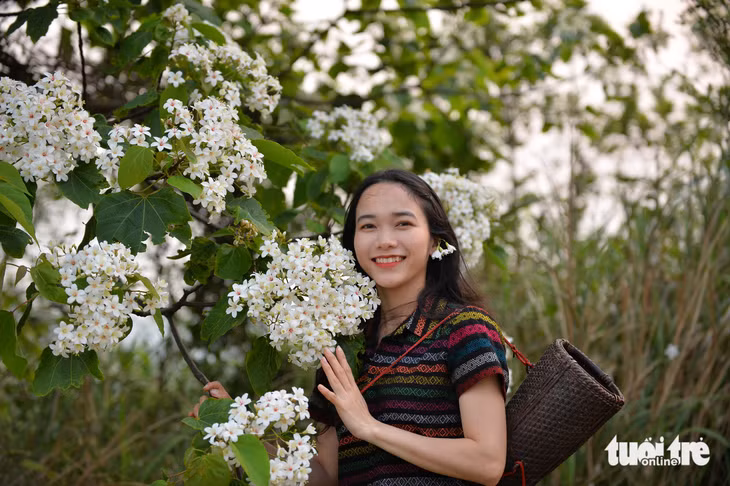 Thiếu nữ khoe sắc bên sắc trắng tinh khôi của hoa trẩu