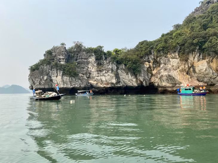 Do lượng phao xốp lớn nên những ngày này, Ban quản lý Vịnh Hạ Long cũng huy động tối đa nhân lực, tàu xuồng để thực hiện thu gom rác.