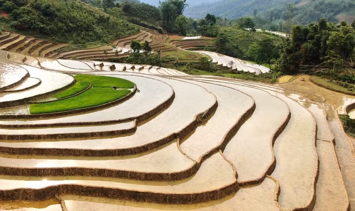 Ngất ngây với vẻ đẹp ruộng bậc thang Sa Pa.