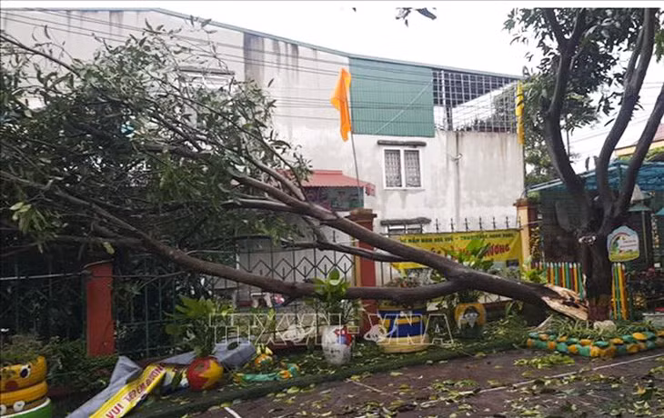 Nhiều cây xanh trên địa bàn thành phố Yên Bái bị gãy đổ. Ảnh: TTXVN phát