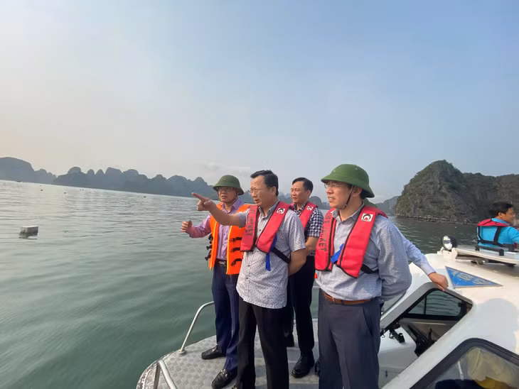 Đồng chí Quyền Chủ tịch UBND tỉnh yêu cầu tất cả các địa phương (Hạ Long, Cẩm Phả, Vân Đồn, Quảng Yên) phải có trách nhiệm thu gom rác ở trên địa bàn. Riêng TP Hạ Long phải đảm bảo trước ngày 28/4/2023 thu gom xong toàn bộ phao xốp trôi nổi trên vịnh Hạ Long.