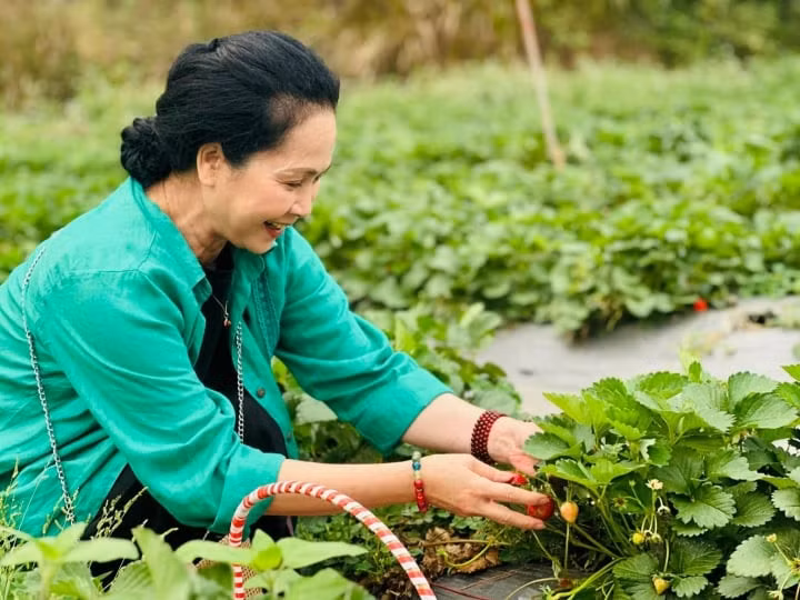 Nữ nghệ sĩ khẳng định, hình ảnh các bà mẹ chồng trên phim hoàn toàn khác biệt với cách chị làm mẹ chồng ở đời thực.