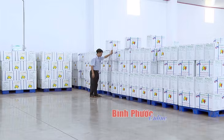 Sản phẩm hạt điều xuất khẩu của Công ty cổ phần Hoàng Sơn 1, xã Đức Liễu, huyện Bù Đăng.