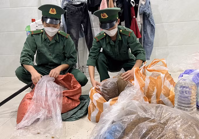 Lực lượng biên phòng thu giữ số lượng lớn thảo mộc do Sang "chế biến" Ảnh: Hà Hoài