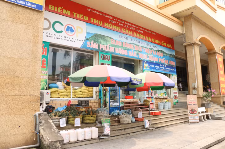 Điểm thu mua nông sản và bán sản phẩm của HTX Nông, lâm, ngư nghiệp Việt Hưng tại chợ Hạ Long I.