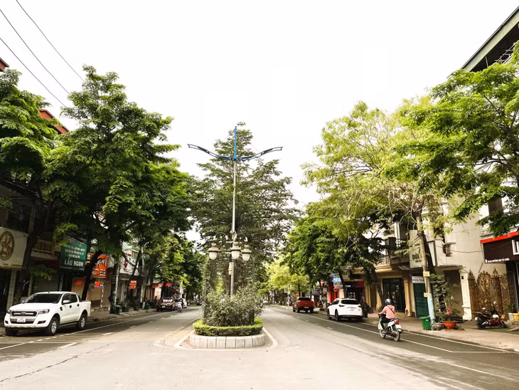 Ngoài cây xanh trồng trên vỉa hè, dải ngăn cách ở đường Bái Tử Long còn được trồng thêm cây bóng mát và hoa hồng, khiến con đường nhuộm màu xanh mát.