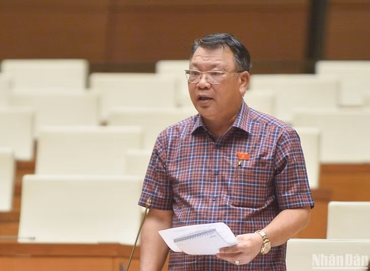 Đại biểu Nguyễn Tạo tham gia ý kiến thảo luận tại phiên họp. (Ảnh: DUY LINH)