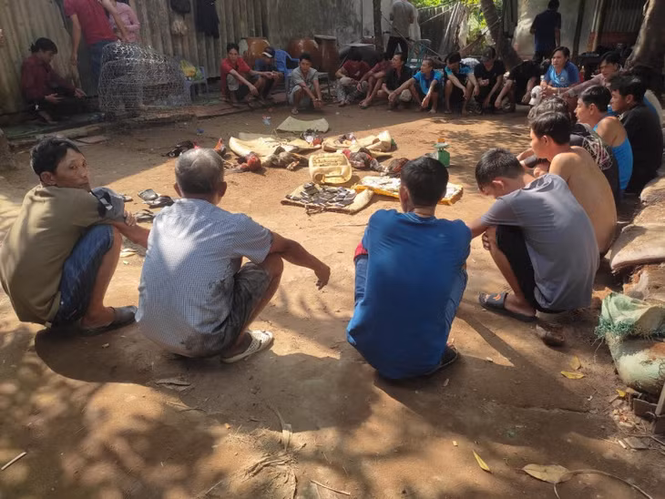 Nhóm người tham gia đá gà ăn thua bằng tiền bị bắt quả tang.