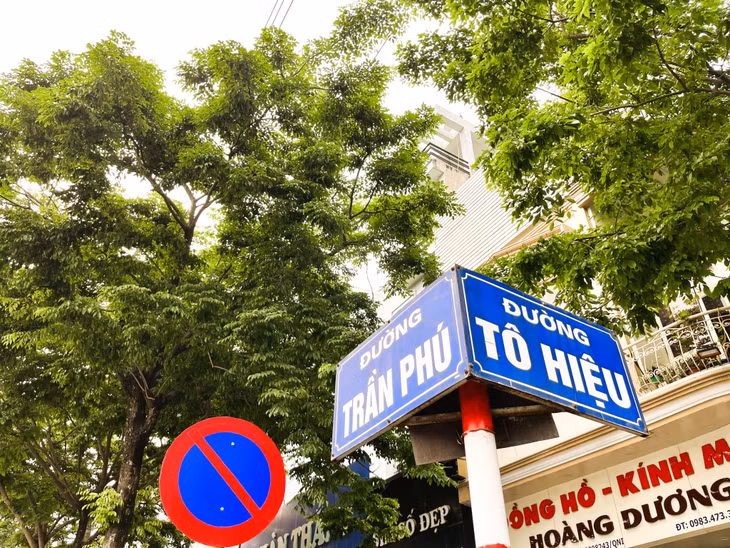 Những tuyến đường, phố ở Cẩm Phả mùa này tràn ngập màu xanh của cây lá.