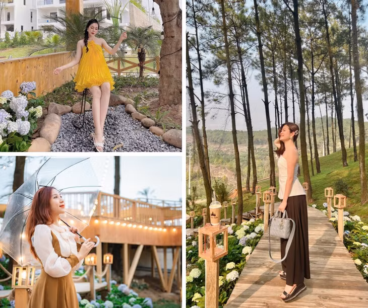 Mọi góc tại La Luna Coffee đều trở thành góc sống ảo đẹp mê mẩn. Ảnh: La Luna Coffee