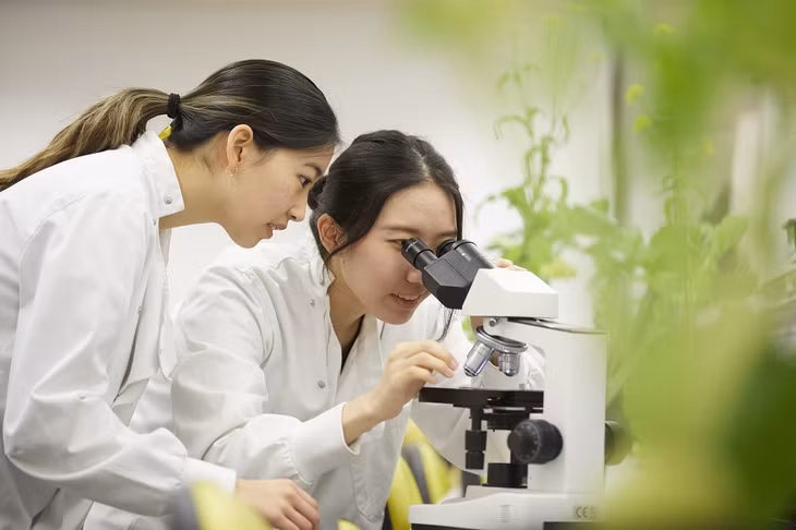 Sinh viên NCUK tại University of Bristol Ngôi trường thuộc nhóm các trường Russell Group danh giá của Vương quốc Anh.