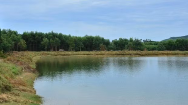 Quang Ngai: Tai nan duoi nuoc thuong tam lam 3 chau nho tu vong hinh anh 1