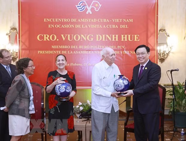'Quan he huu nghi truyen thong Viet Nam-Cuba mai truong ton' hinh anh 1