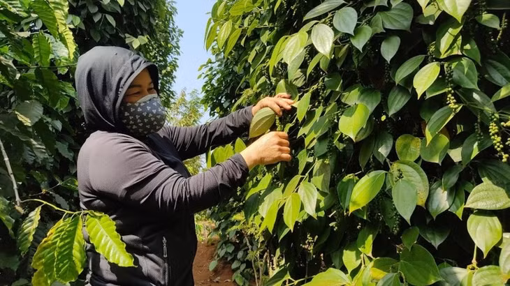 Doanh nghiệp phải đáp ứng được các tiêu chuẩn vệ sinh an toàn thực phẩm.
