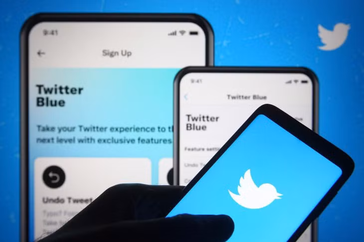 Theo Mashable, chỉ có khoảng 600.000 trong tổng số 250 triệu người dùng Twitter chi tiền đăng ký Twitter Blue. Thậm chí, con số này còn thấp hơn nữa trong số những người đã được cấp tick xanh từ trước.