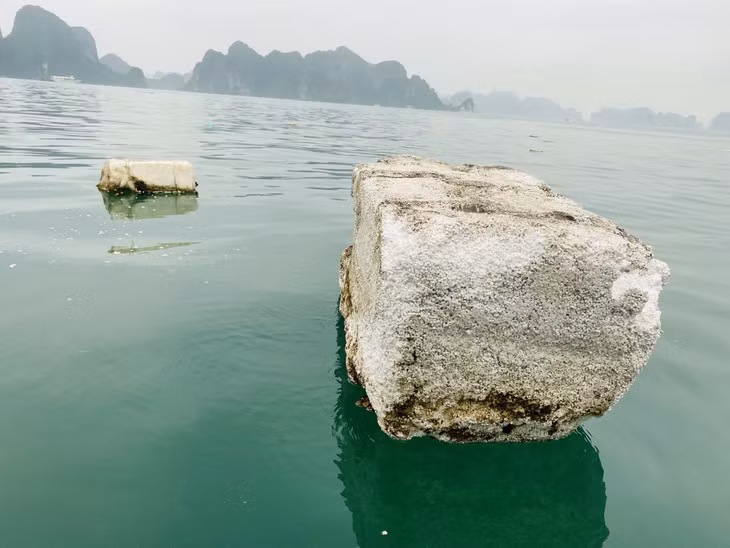 Những miếng phao xốp trôi ra biển gây nguy cơ ô nhiễm môi trường rất lớn đồng thời tai hại với các loại thủy sản.