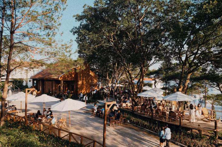 Khung cảnh như một Đà Lạt thu nhỏ ở Thông Zeo Coffee.