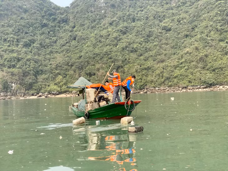 ... và thu gom rác tại khu vực Hòn Dầm Bắc.