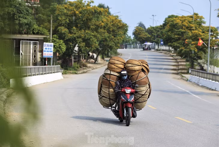 Theo quan niệm của người xưa, mùa hoa giáng hương nở rực rỡ cũng là mùa báo hiệu một năm mùa màng bội thu, mưa thuận gió hòa, người dân đầy đủ ấm no hạnh phúc. Gỗ của loại cây này có mùi thơm đặc trưng, bền đẹp nên rất được nhiều người yêu thích dùng trong những việc quan trọng.