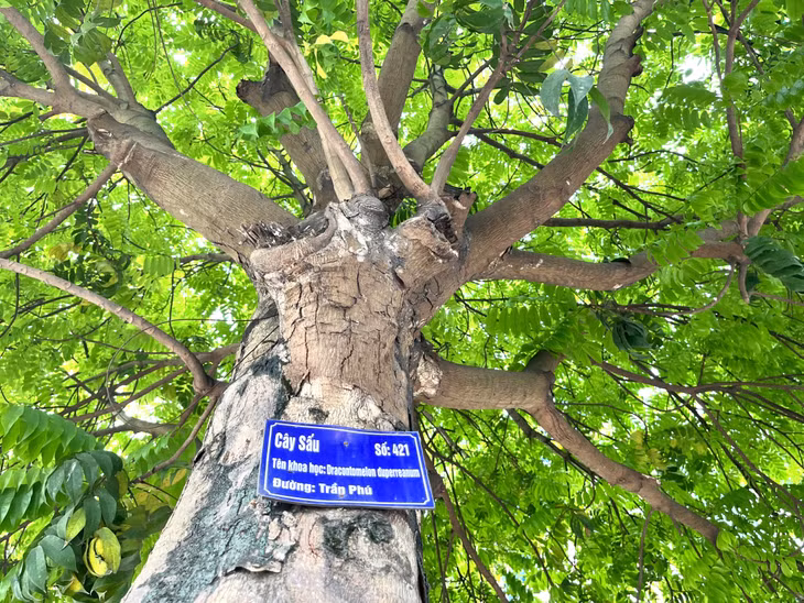 Mỗi cây đều được treo biển tên, tên khoa học của cây...