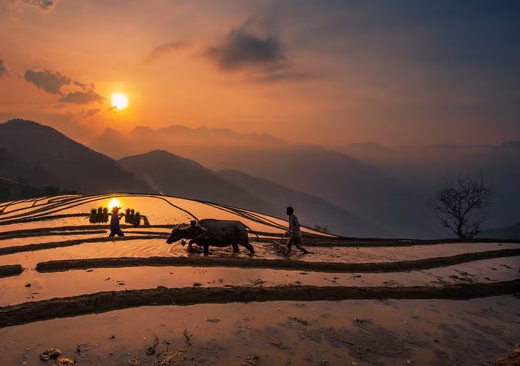 Người dân hăng say làm việc tạo nên bức tranh đẹp trên các thửa ruộng bậc thang.