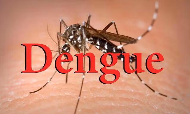 Chưa có vaccine phòng ngừa sốt xuất huyết, để phòng bệnh cần tích cực chủ động diệt muỗi, lăng quăng.